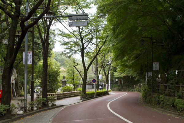 緑豊かな深大寺