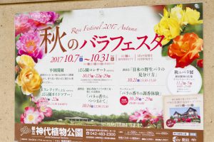 神代植物公園を歩く,野川さんの調布暮らし