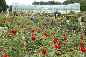 神代植物公園を歩く,野川さんの調布暮らし