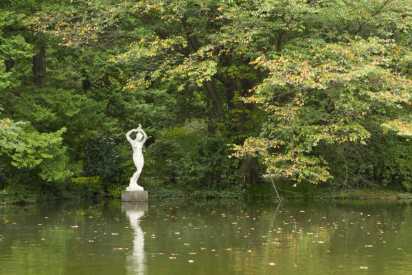 神代植物公園を歩く,野川さんの調布暮らし