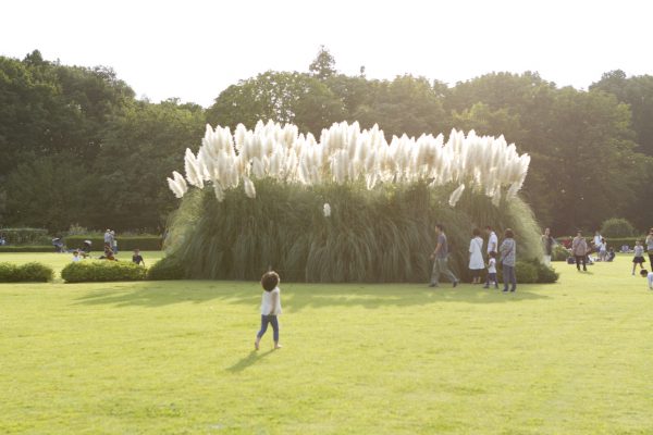 神代植物公園を歩く,野川さんの調布暮らし