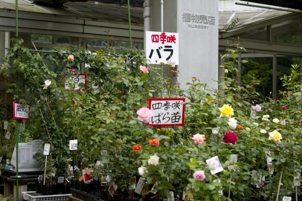 神代植物公園を歩く,野川さんの調布暮らし