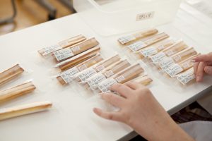 ぴいす,ぴいすティック,福祉作業所,野川さん,調布,焼き菓子